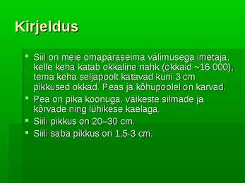 Siil #2