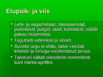 Siil #3