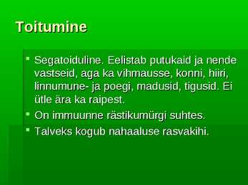 Siil #4