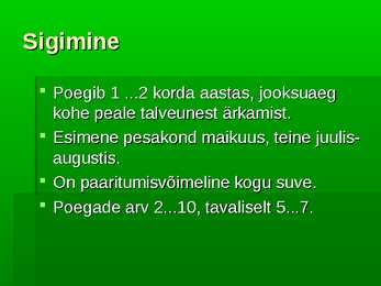 Siil #5