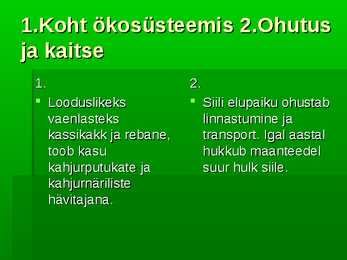Siil #6