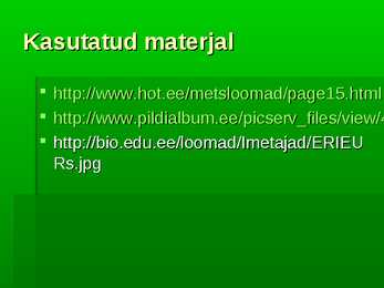Siil #8