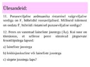mendeli i ja ii seadus #26