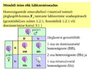 mendeli i ja ii seadus-2 #13