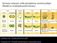 mendeli i ja ii seadus-2 #15
