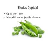 mendeli i ja ii seadus-2 #11