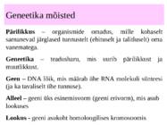 mendeli i ja ii seadus-2 #2