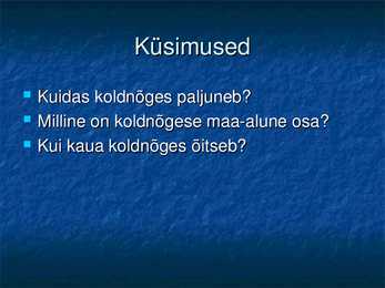 Koldnõges #12