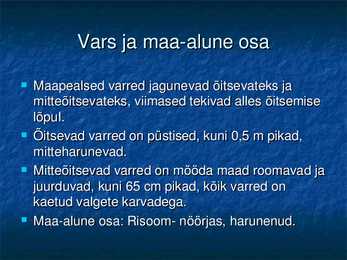 Koldnõges #5