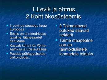 Koldnõges #8