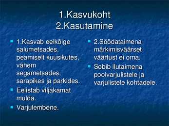 Koldnõges #9