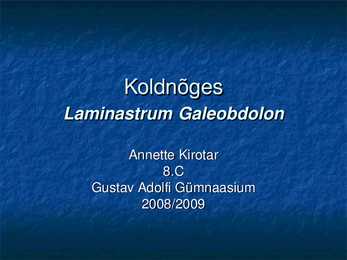 Koldnõges