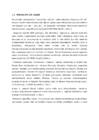 Rooma Impeerium #5