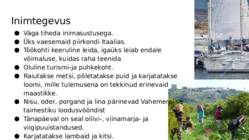 Sitsiilia #22