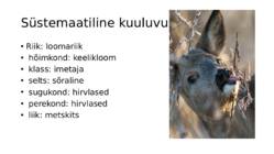 metskits ramuelpill 7a #2