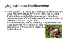 metskits ramuelpill 7a #6