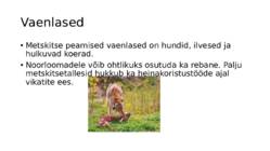 metskits ramuelpill 7a #7