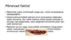 metskits ramuelpill 7a #8