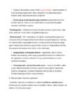 EVOLUTSIOON #3