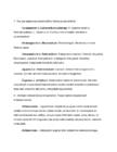 EVOLUTSIOON #4