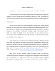 Essee- referaat akordionist