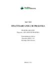 Finantsaruandluse praktikaaruanne