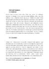 Nimetu dokument #4