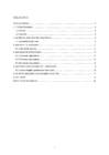 Meriley Raudsepp PS 2020- 4 #2