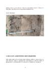 Meriley Raudsepp PS 2020- 4 #15