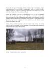 Meriley Raudsepp PS 2020- 4 #9