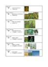 Maaviljeluse arvestus- 1 #7