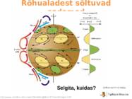 Atmosfääri tsirkulatsioon ja tuultesüsteemid #19