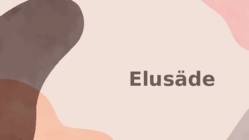Elusäde