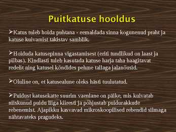 Puitkatus #19