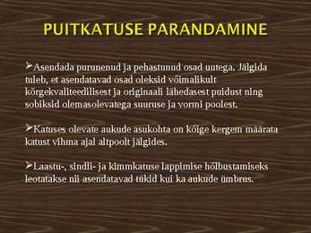 Puitkatus #20