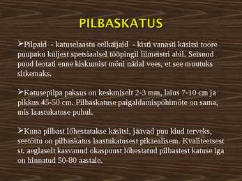 Puitkatus #10