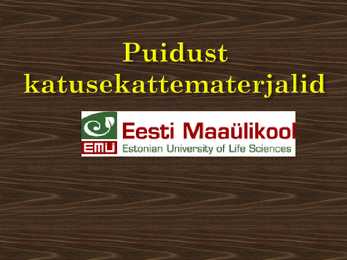 Puitkatus