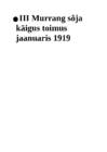 Eesti iseseisvumine Vabadussõda-2 #13