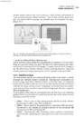 Fitness In Soccer #245