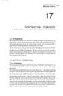 Fitness In Soccer #309