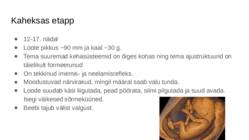 Loote areng #12