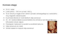 Loote areng #14