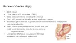 Loote areng #16