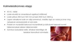 Loote areng #17