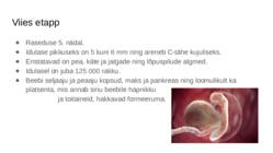Loote areng #9