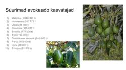 Eksootilised-puuviljad #13