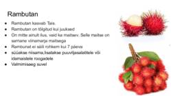 Eksootilised-puuviljad #23