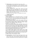 English lexicology revision review questions #3