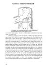 2-stroke tuners handbook tuners #118