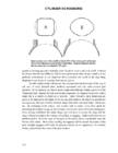 2-stroke tuners handbook tuners #121